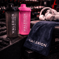 Shaker V2 - 500ml